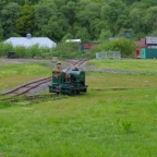 Apedale - IMGP8683.jpg