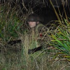 Night in the Trenches 12-11-2011 (253).jpg